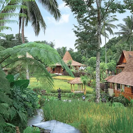 Lawani Resort