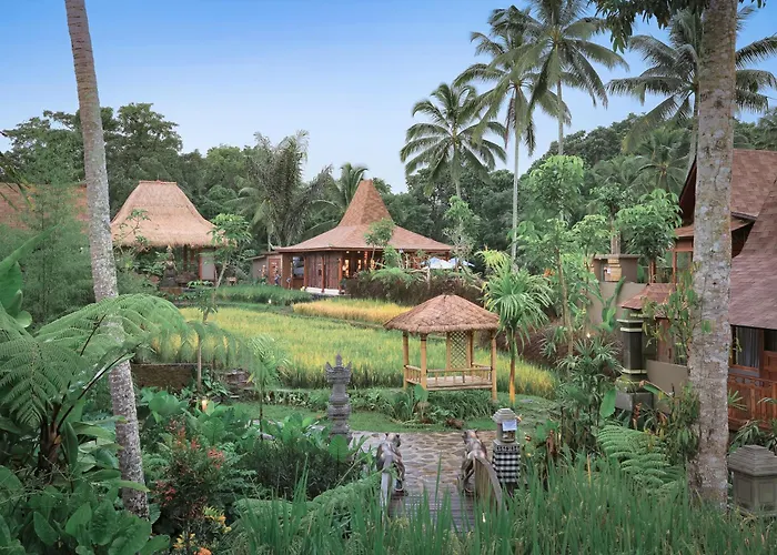 Hotel Lawani
