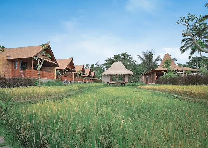 Hotel Lawani 4*